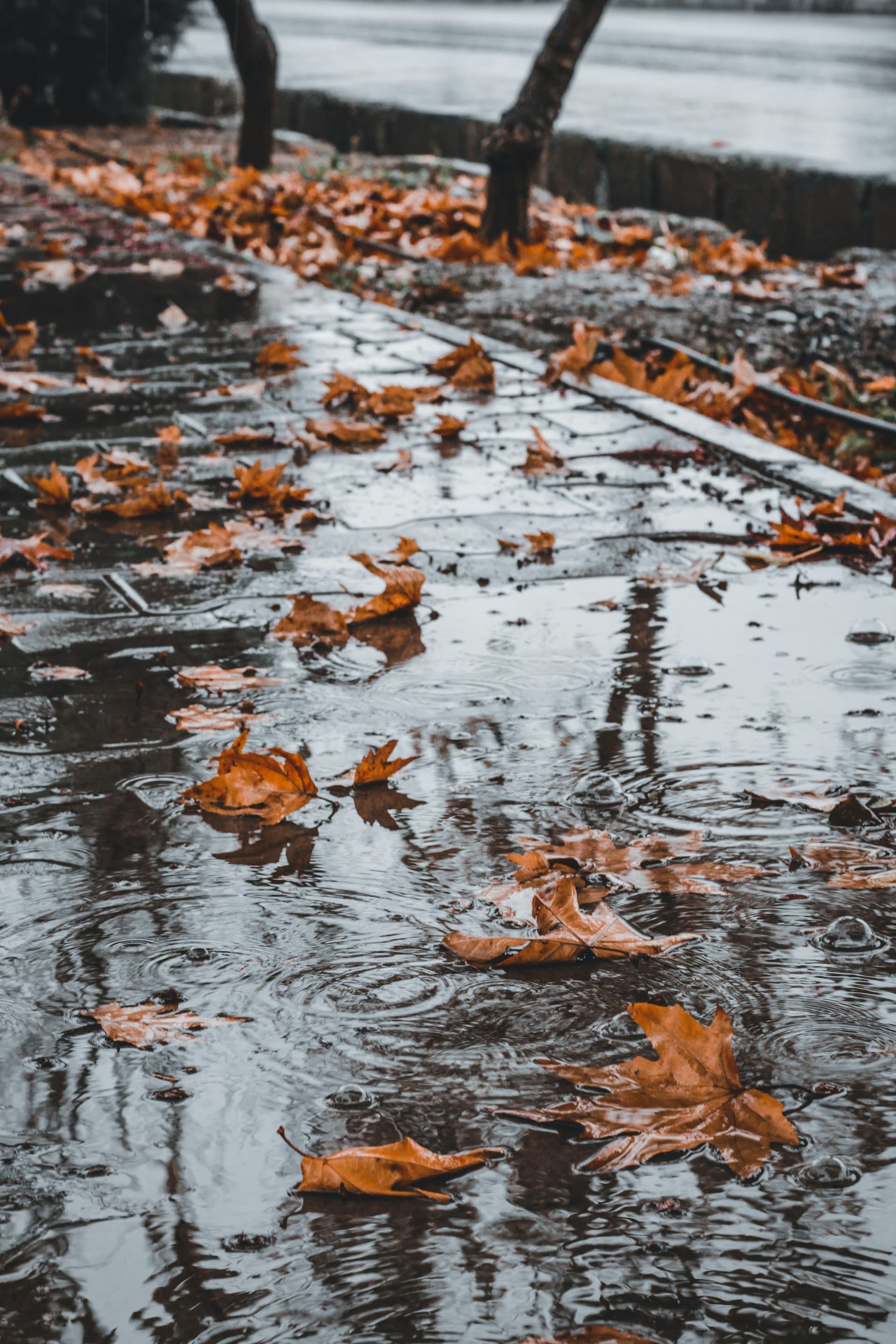 Rainy September: how to dry clothes without wasting energy?