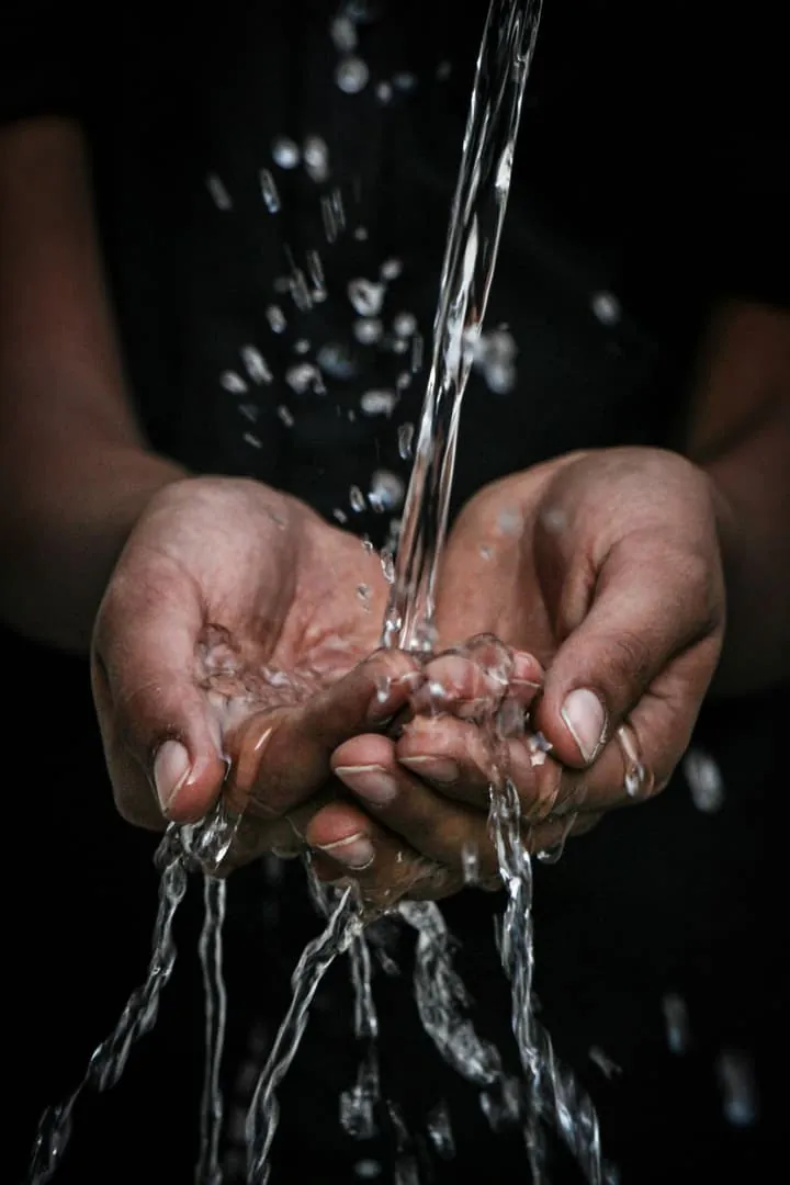L'eau, l'or bleu : 7 gestes simples pour économiser sans se priver