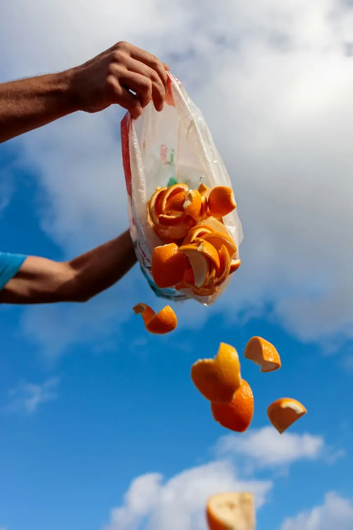 Cutting food waste without becoming rigid