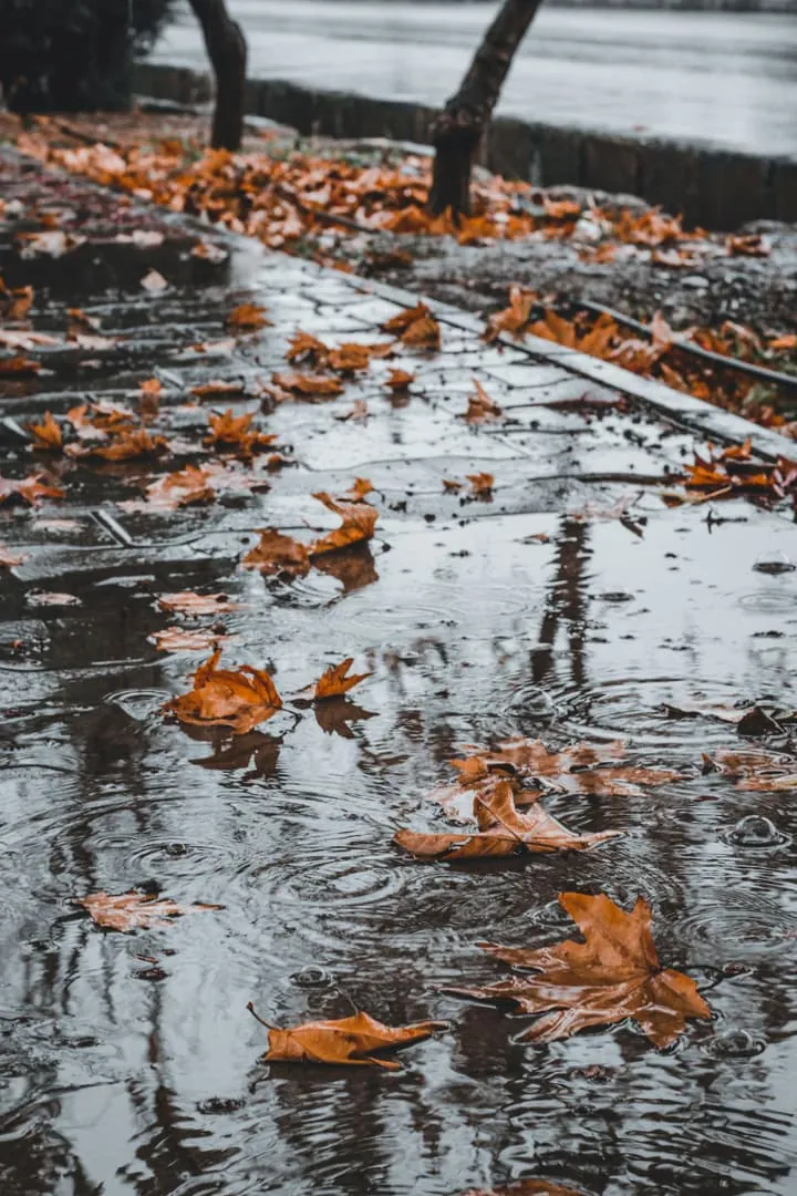 Drying clothes without wasting energy during rainy September